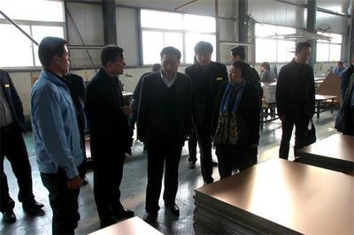 省工信廳副廳長(zhǎng)任國(guó)蒞臨大荔調(diào)研新能源產(chǎn)業(yè)發(fā)展情況